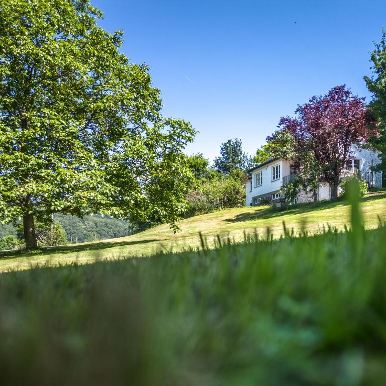 Zahrada ubytování Au Paradis 6+2 pers villa