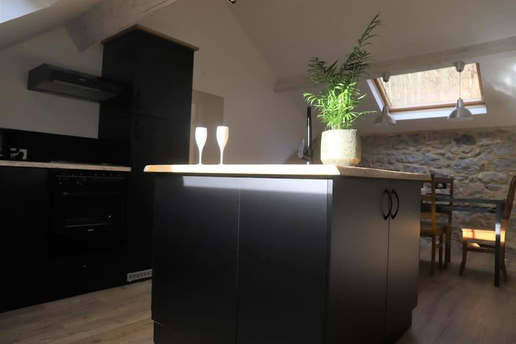 a kitchen with a plant on top of a counter at Pause-toit, Le gîte de Mozet. in Gesves