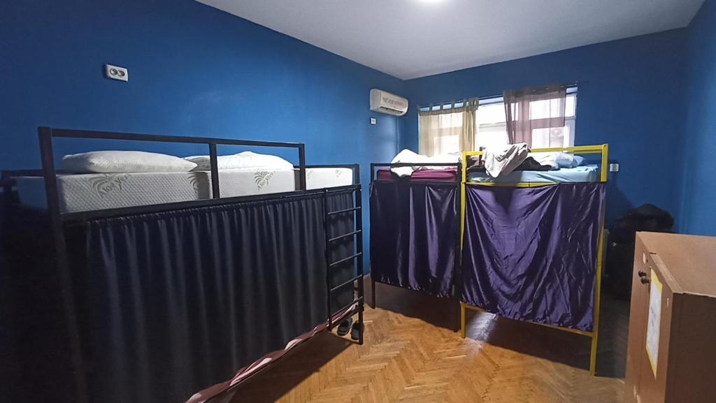 a bedroom with two bunk beds in a blue wall at Sky hostel in Pristina