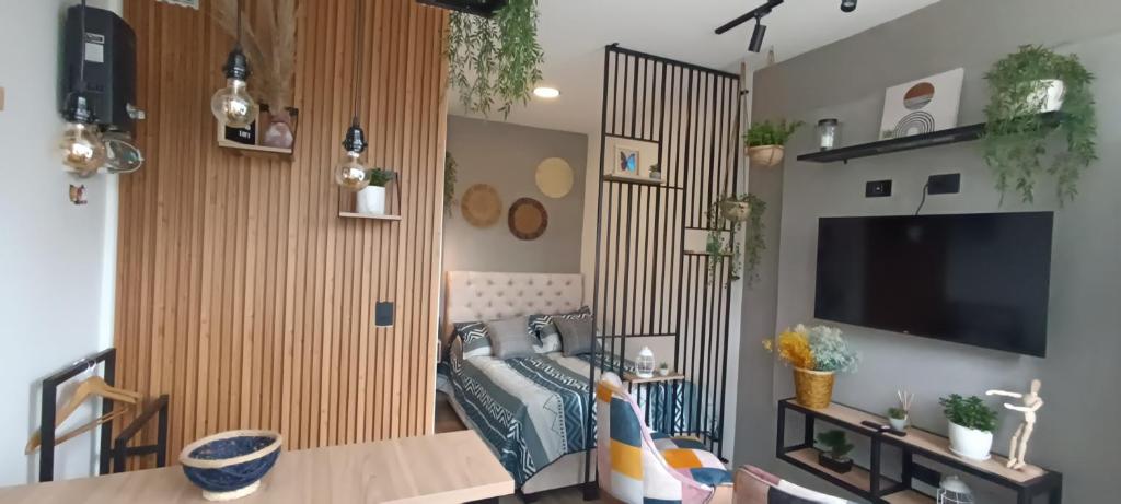 TV a/nebo společenská místnost v ubytování Hope Aparta Lofts