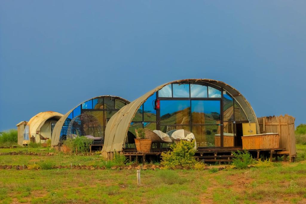 a group of domed buildings sitting in a field at Amanya 2-Bed Lioness Family Tent in Amboseli in Amboseli