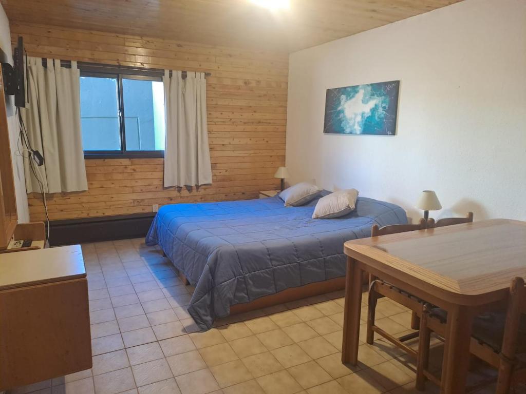 een slaapkamer met een bed en een tafel in een kamer bij Atenas para 2 personas in Las Lenas