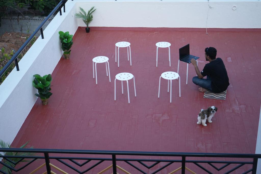 Huéspedes con una o varias mascotas en Palace Hostel by Borrbo