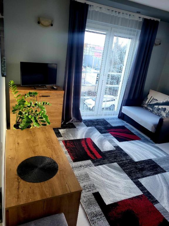 Televízia a/alebo spoločenská miestnosť v ubytovaní Willa "Aparthause" E-Apartamenty