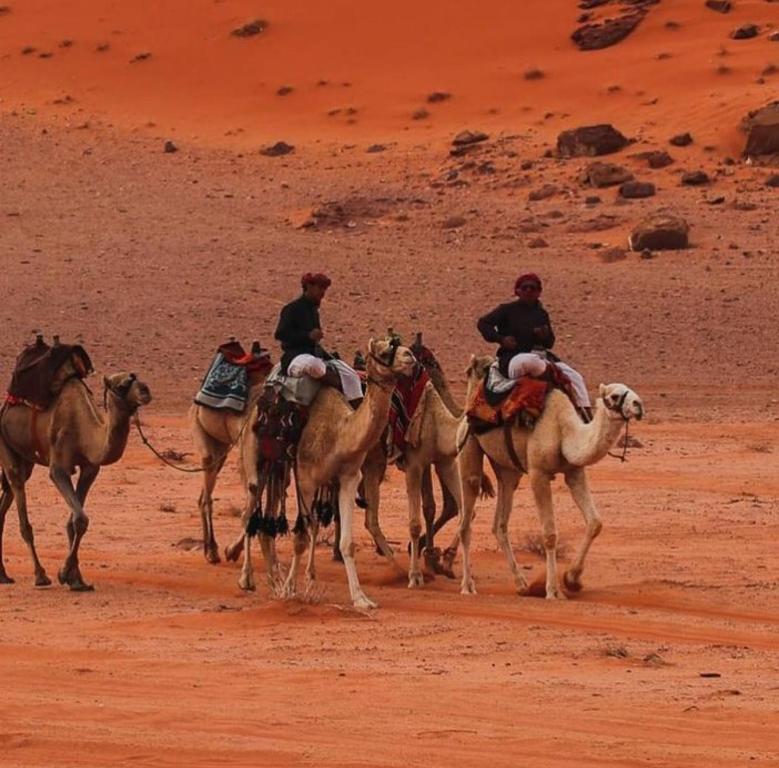 a group of people riding horses in the desert at Bedouin Bunch Camp in Wadi Rum