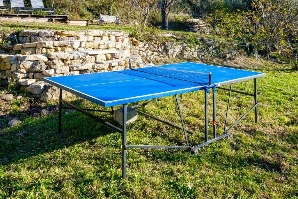 a blue ping pong table sitting in the grass at Villa Provence Vue Panoramique - in Fayence