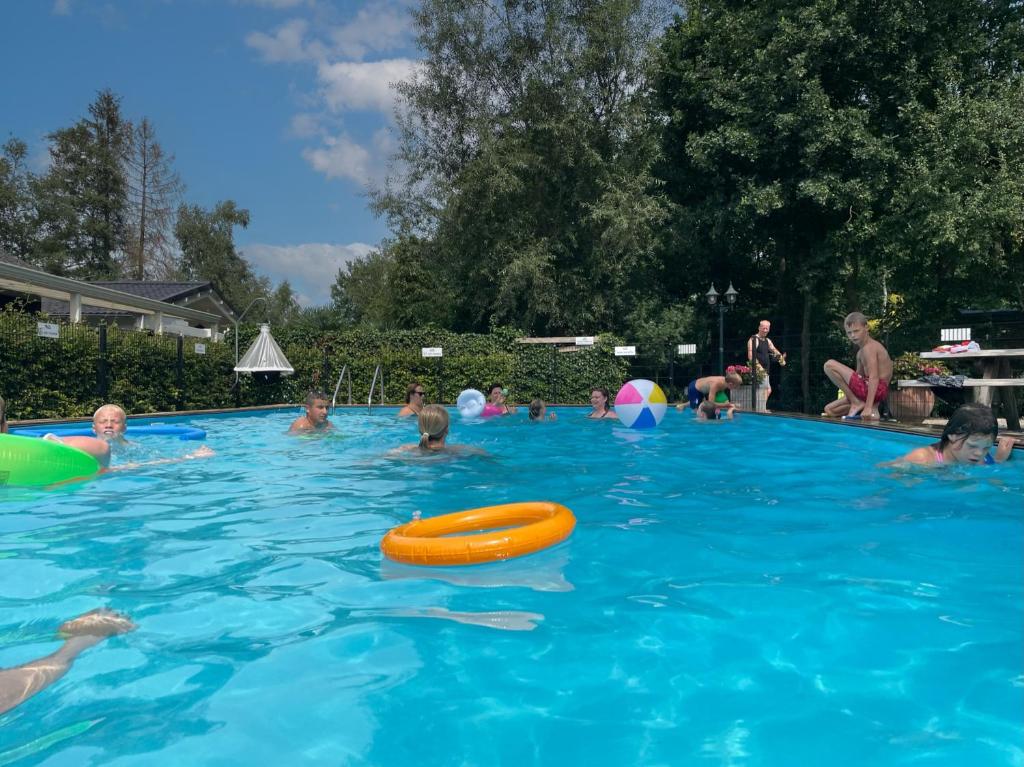 a group of people in a swimming pool with a frisbee at Camping Emmen in Schoonebeek