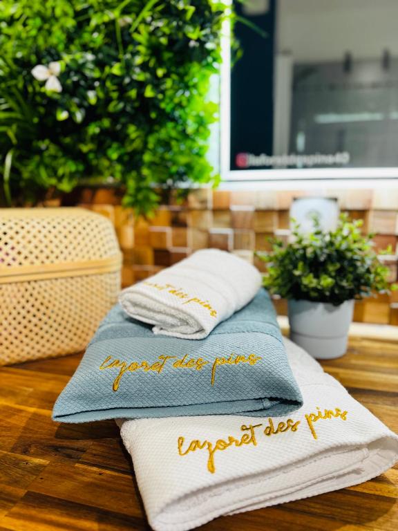 Fotografie z fotogalerie ubytování La Forêt des Pins - Free Check-In - Wifi - Parking Privé - Netflix - Draps & Serviettes inclus v destinaci Labenne