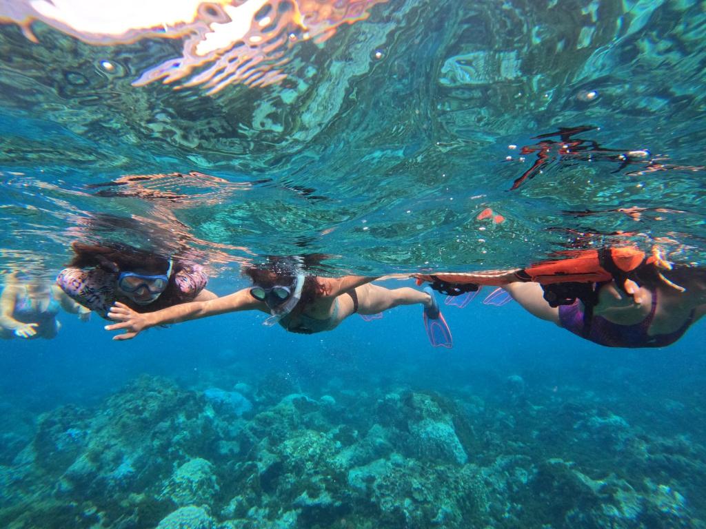 Hosté ubytování Moehiva Camping Rapa Nui