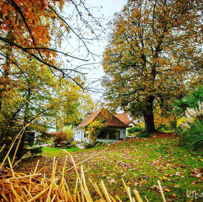 une petite maison au milieu d'une cour dans l'établissement Le Clos de Marenla, à Marenla