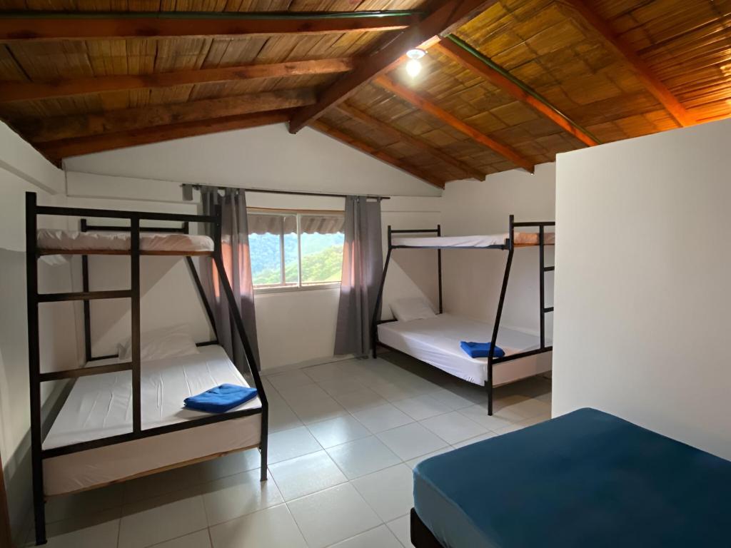 a room with three bunk beds and a window at FINCA LA FORTALEZA in Santa Rosa de Cabal