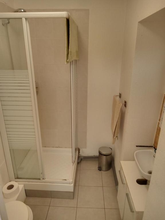 a bathroom with a shower and a toilet and a sink at Gîte Marronnier in Tourrettes-sur-Loup