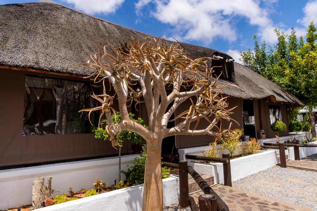 un árbol falso delante de un edificio en Kleinplasie Guesthouse, en Springbok