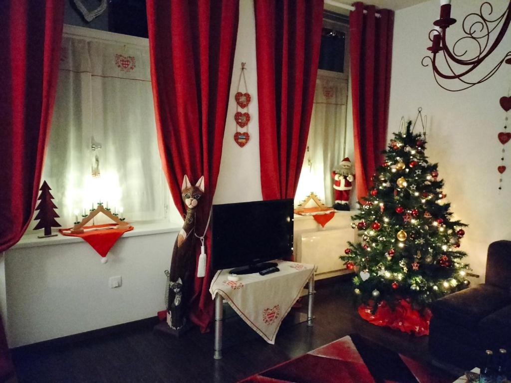 "Coeur d'elsass St Eloi centre ville avec parking - 7