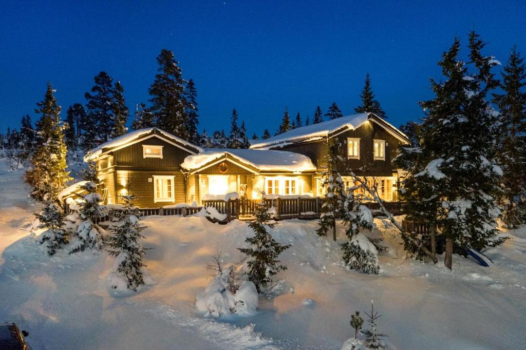 Το Løvsangeren 1,5 hour from Oslo - 6 bedrooms - 14 sleeps - Sauna τον χειμώνα