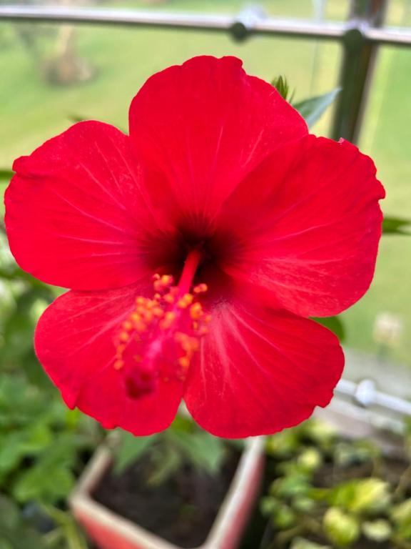 Charis Manor, Asomdwoe Suite, Mampong (updated prices 2024)