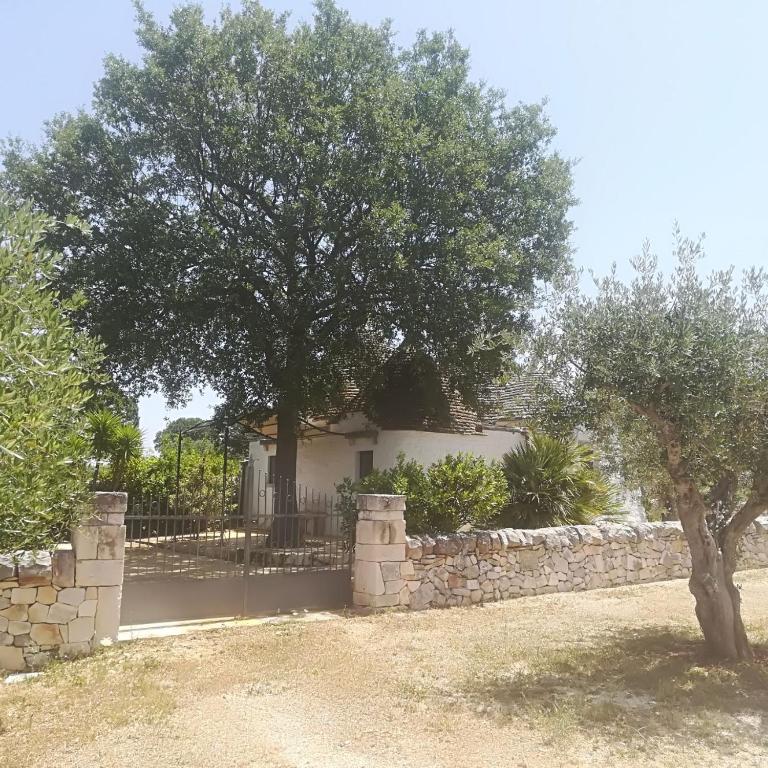 Vonkajšia záhrada v ubytovaní Trulli Manuela (il fragno)