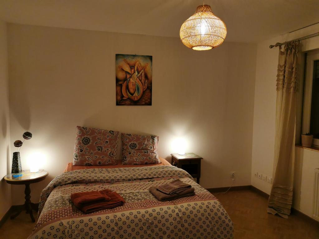 Logement Colmar centre avec Parking – photo 28