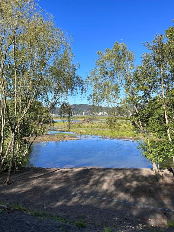 a small pond in a field with trees at Alojamiento BordeRío in Concepción