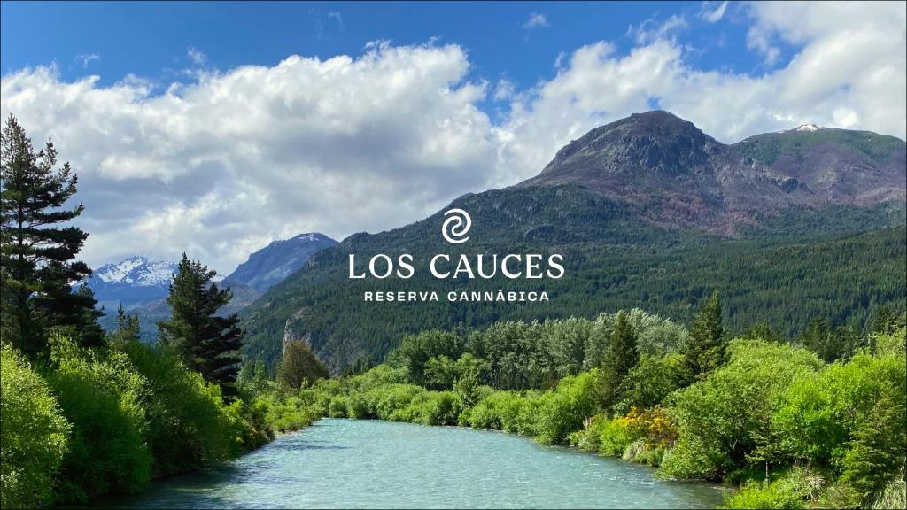 une photo d'une rivière avec des montagnes en arrière-plan dans l'établissement Los Cauces - Reserva Cannábica, à Epuyén