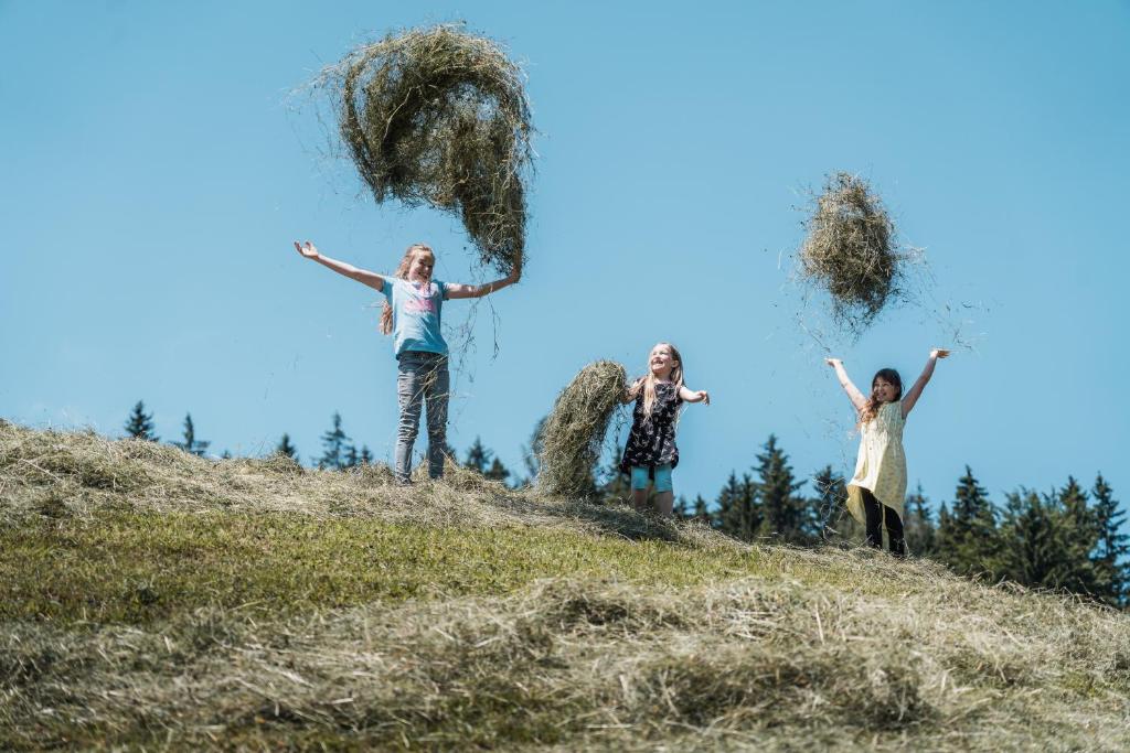Hosté ubytování Biohof Teufel