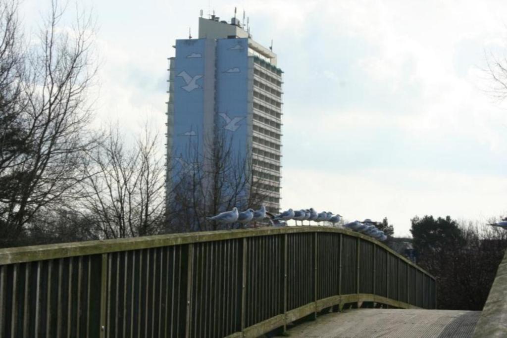 un grupo de pájaros sentados en un puente con un edificio alto en Ferienappartement K1014 für 2 Personen mit Meerblick, en Schönberg in Holstein