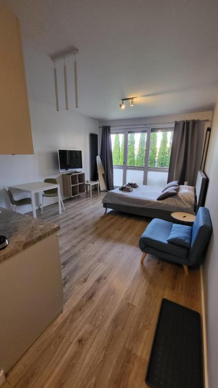 ein großes Wohnzimmer mit einem Bett und einem Sofa in der Unterkunft Apartament pod Dębowcem - Starzyńskiego Valley in Bielsko-Biała