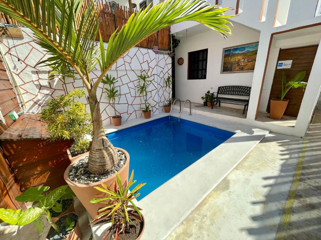 una piscina in una casa con piante di AKBAL Holbox - Beach Zone a Isola Holbox