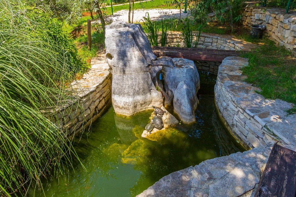 Fotografie z fotogalerie ubytování Ferienwohnung mit großem Pool, Klima, WLAN, Tischtennis v destinaci Valtura
