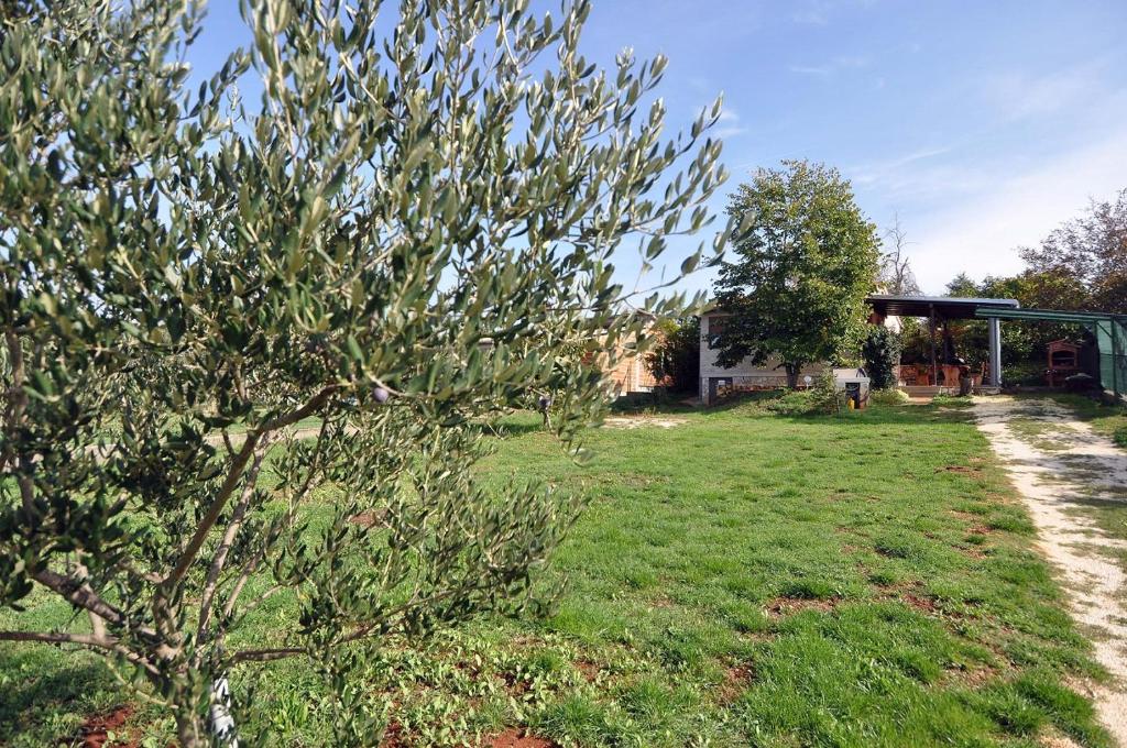 Ogród w obiekcie Herrliches Ferienhaus mit Klima, WLAN, Terrasse und Grillbereich