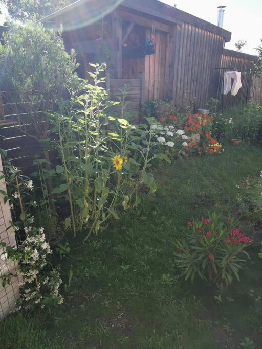 a garden with flowers in a yard with a fence at Standing, calm &amp; confort. in Bègles