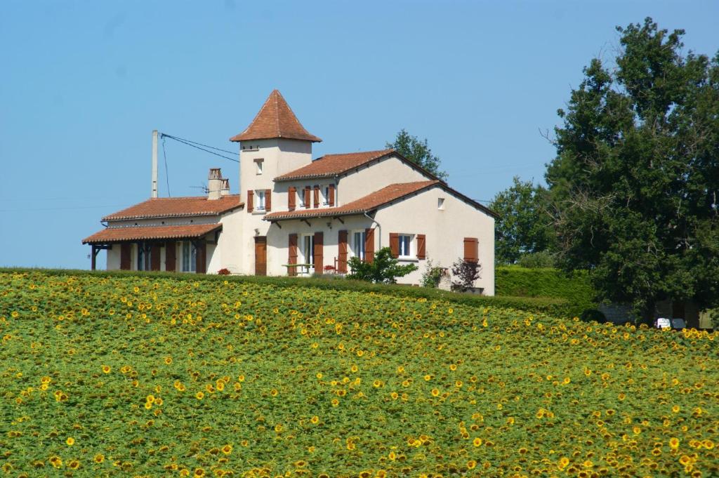 een huis op een heuvel met een bloemenveld bij Maison de 4 chambres avec vue sur la ville jacuzzi et jardin clos a Castelnau Montratier in Castelnau-de-Montratier