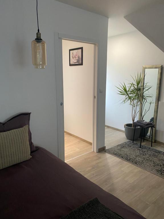 1 dormitorio con cama, espejo y planta en Studio spacieux proche gare et centre ville, en Saint-Amand-les-Eaux