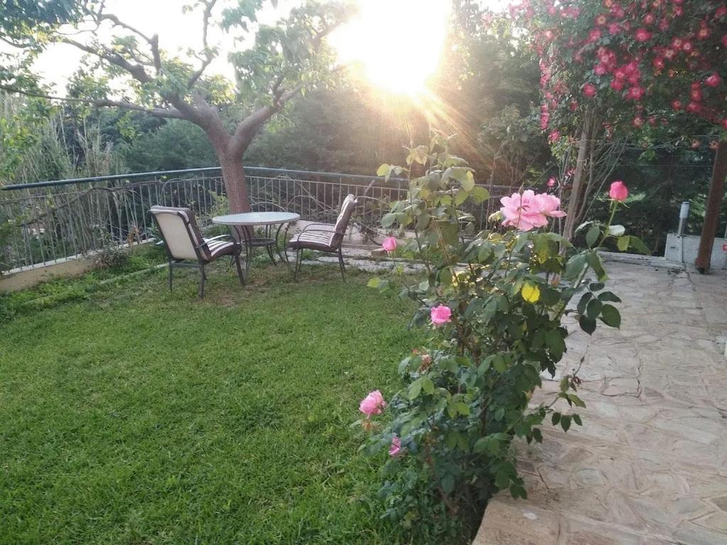 a garden with chairs and a table and pink roses at HOUSE WITH GARDEN Netflix in Néa Kerasiá