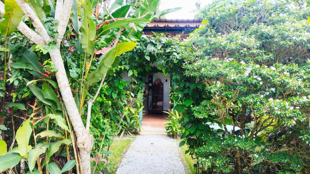 Zahrada ubytování Pondok Keladi Langkawi Guesthouse