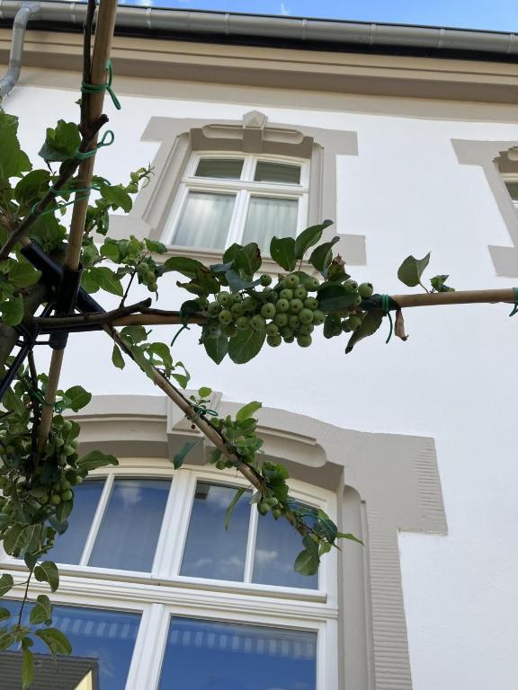 Budova, kde se bed and breakfast nachází