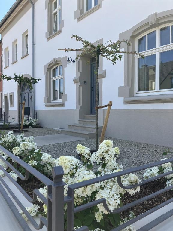 Zahrada ubytování Gästehaus Cantzheim