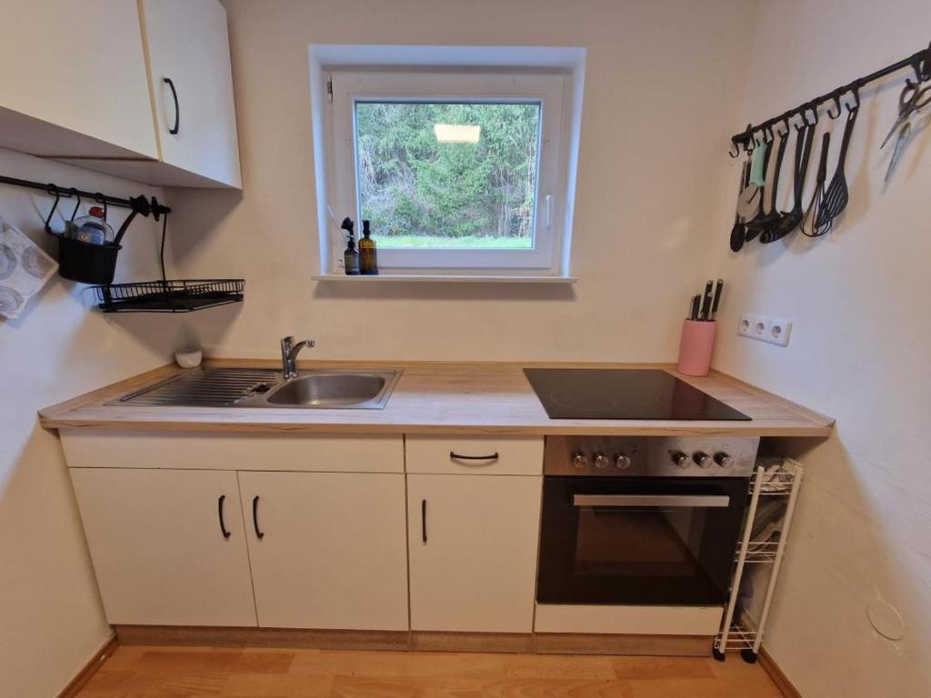 a small kitchen with a sink and a stove at NEU! Ferienwohnung Milo Pfälzer Wald in Rodalben