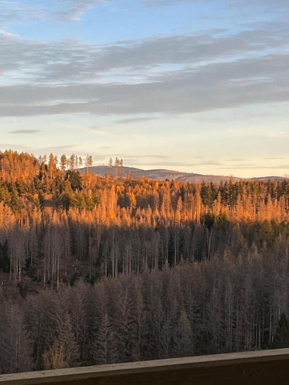 Příroda nedaleko apartmánu