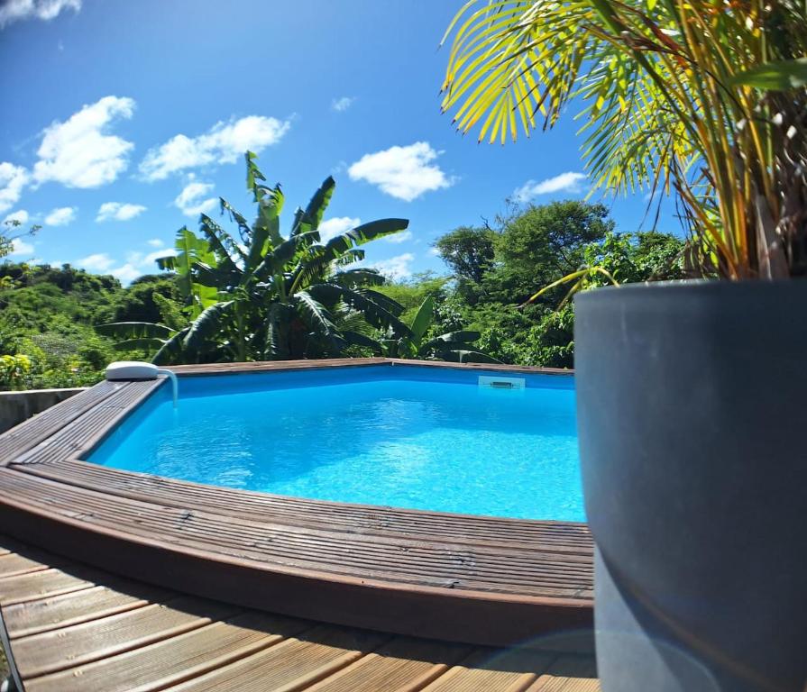 een zwembad op het terras van een huis bij L'Auxilliadora - Studio cozy en bord de mer in Sainte-Anne