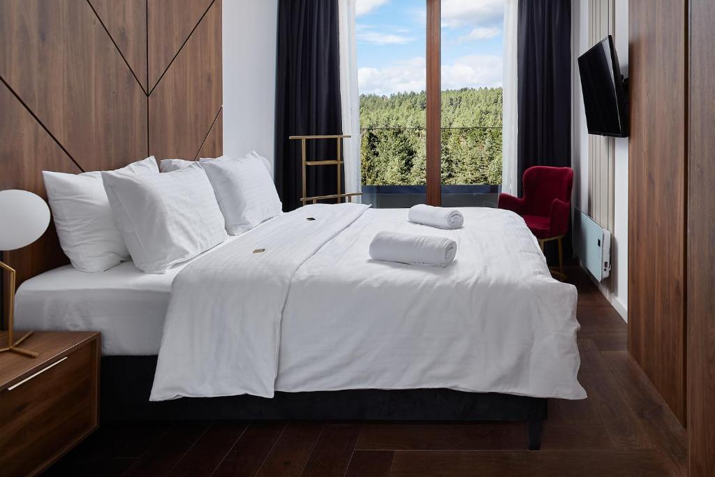 21st Century Zlatibor Residence, Spa & Wellness by Adora - Resim 38