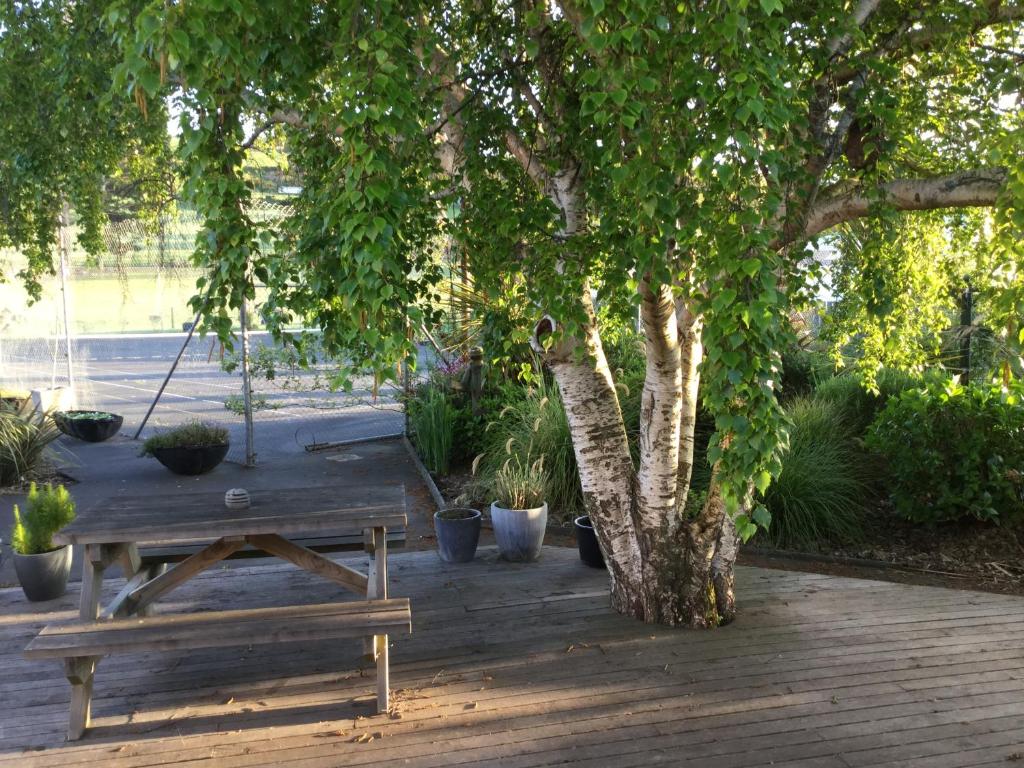 ダニーデンにあるStay in School by the Seaの木の下に座る木のピクニックテーブル
