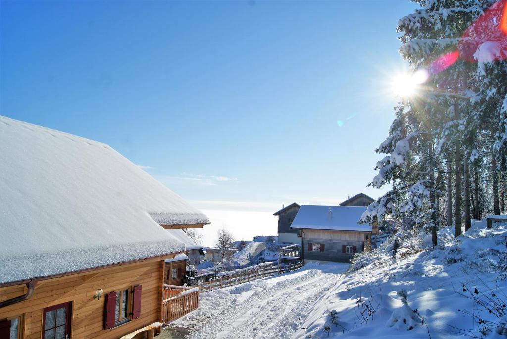 Großes Ferienhaus mit 5 Schlafzimmer & 4 Bäder v zime