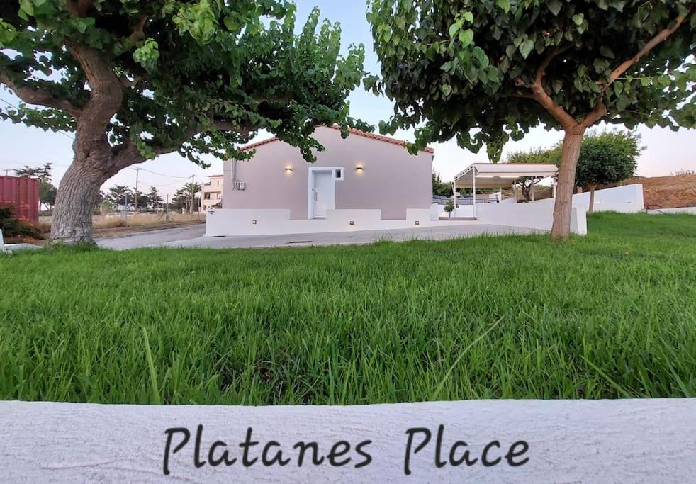 a house in the middle of a yard with grass at PLATANES PLACE in Platanes