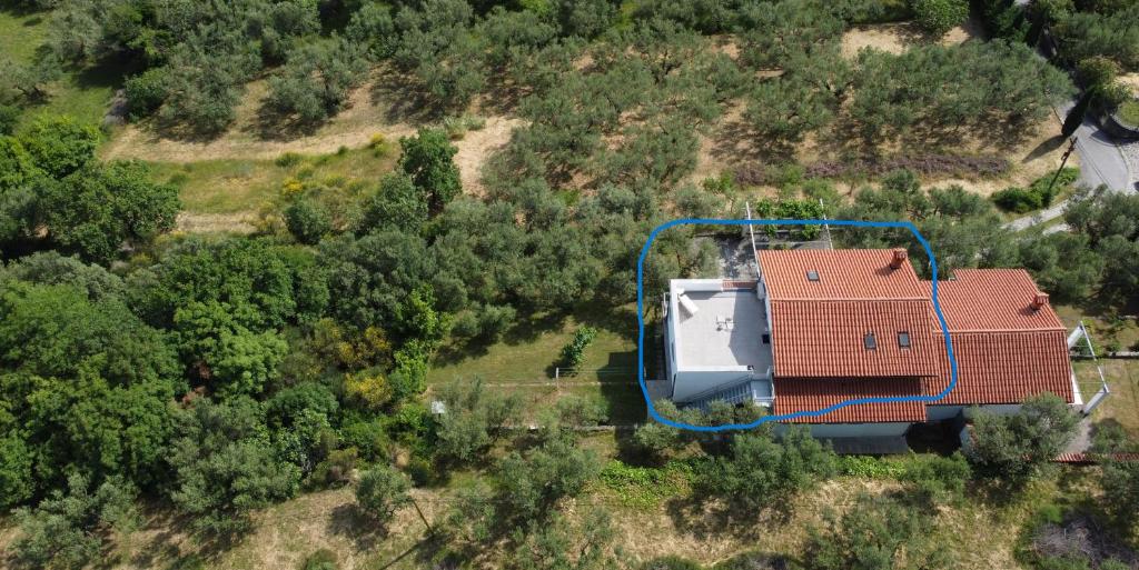Příroda nedaleko apartmánu