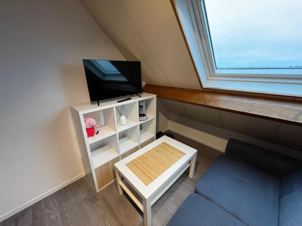 Televízia a/alebo spoločenská miestnosť v ubytovaní Immeuble Les Perdrix