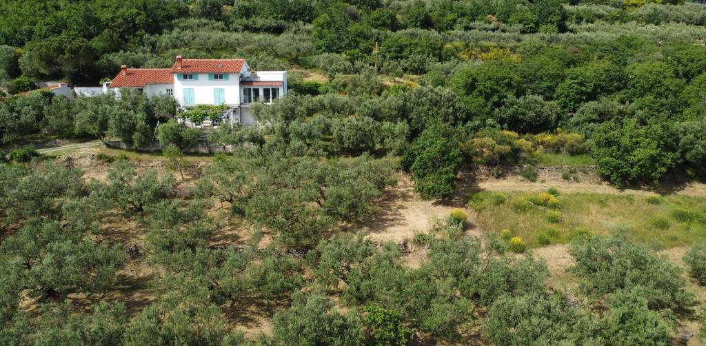Příroda nedaleko apartmánu