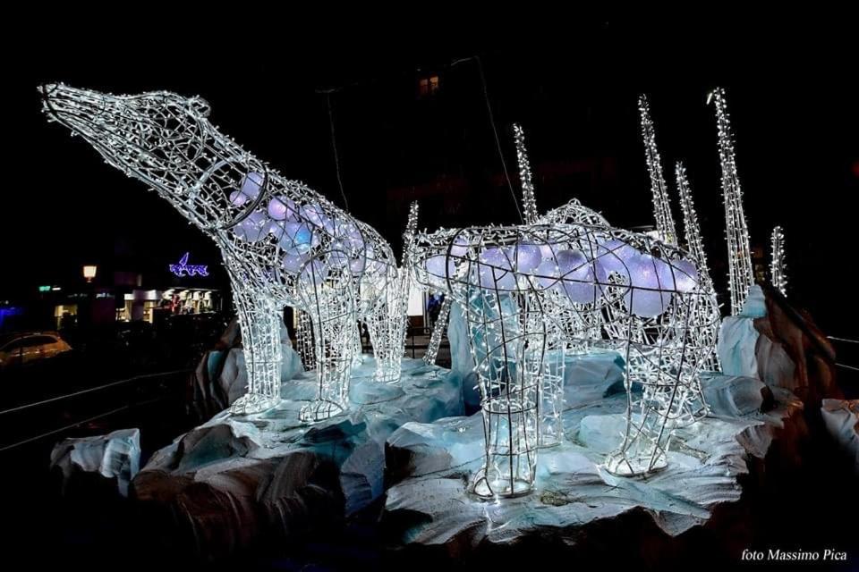 The Secret Garden - 17