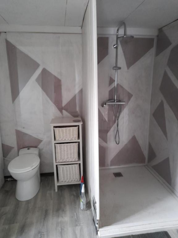 a bathroom with a shower with a toilet and a sink at Smith Cosy in Châteaumeillant