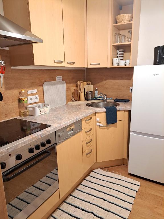 Sauschneidhof - Radstadt - 3